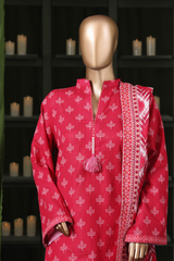 Bin Saeed Stitched 3 Piece Exclusive Printed Khaddar Vol-14 Collection'2025-WK-2652-RED