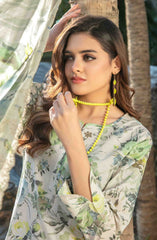 Suleika by Tawakkal Fabrics Lawn Summer Collection 2025 D-1245