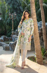 Suleika by Tawakkal Fabrics Lawn Summer Collection 2025 D-1245