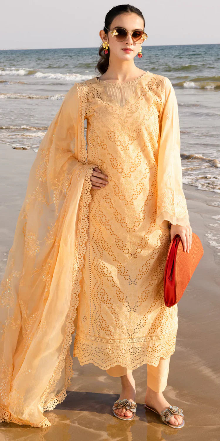 TL-430 riaz arts