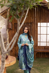 BAHAR BY MAHEES,Printed Silk Marina with Printed Pure China Pashmina Shawl,D-03