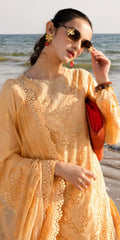 TL-430 riaz arts