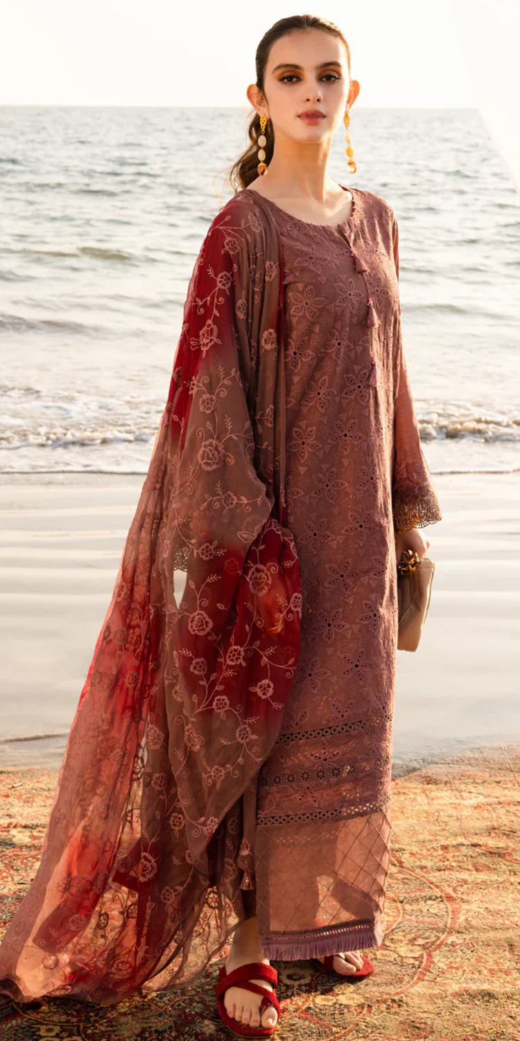 TL-428 riaz arts