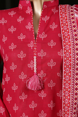 Bin Saeed Stitched 3 Piece Exclusive Printed Khaddar Vol-14 Collection'2025-WK-2652-RED