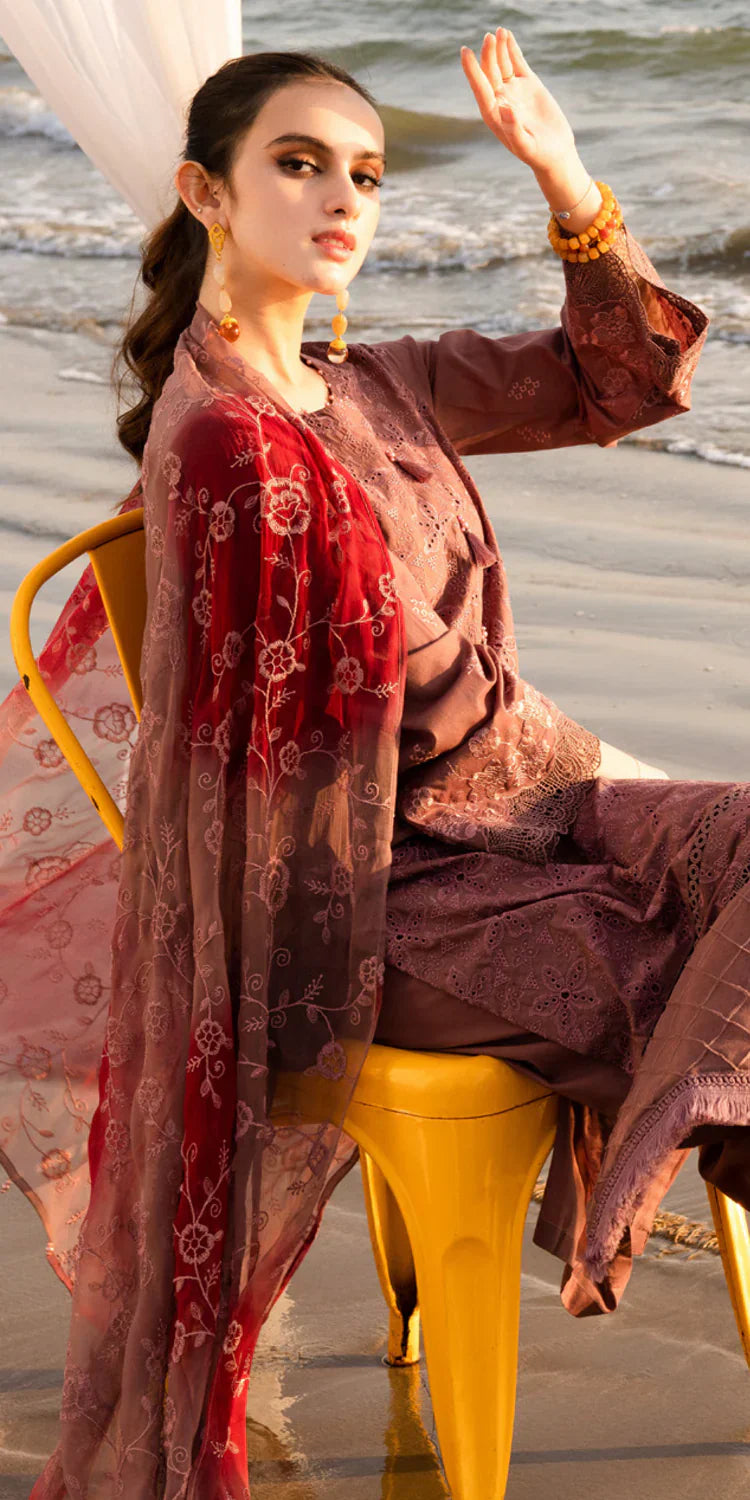 TL-428 riaz arts