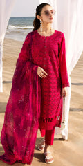 TL-427 riaz arts