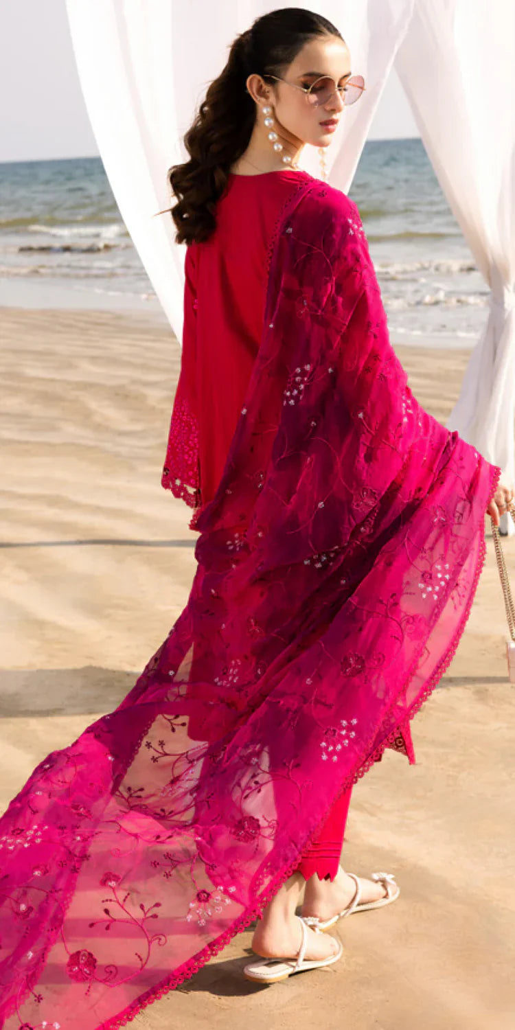 TL-427 riaz arts
