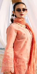 TL-426 riaz arts