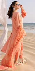 TL-426 riaz arts
