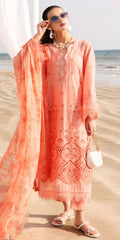 TL-426 riaz arts