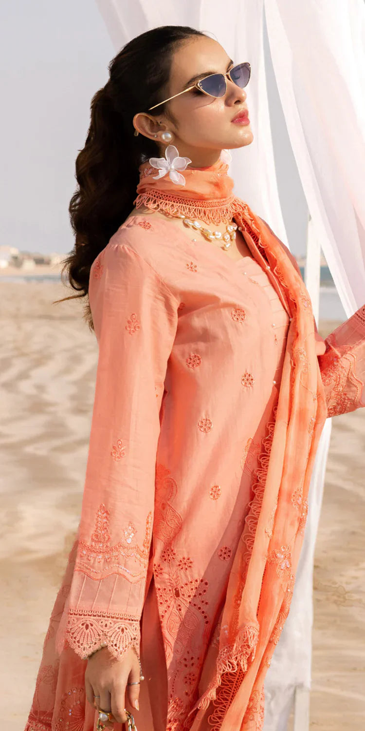 TL-426 riaz arts