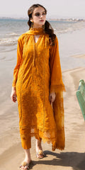 TL-425 riaz arts