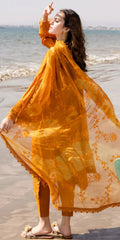TL-425 riaz arts