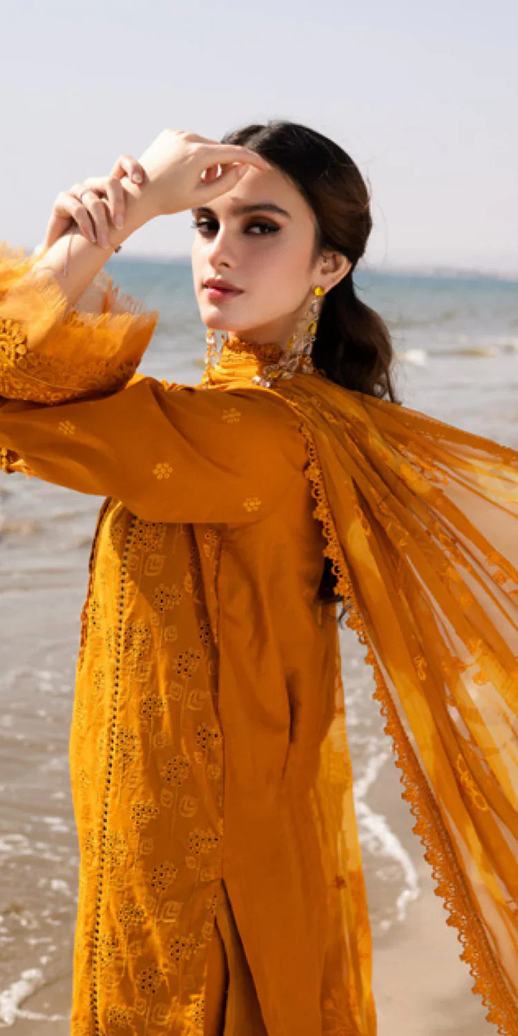 TL-425 riaz arts