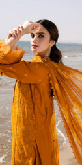 TL-425 riaz arts