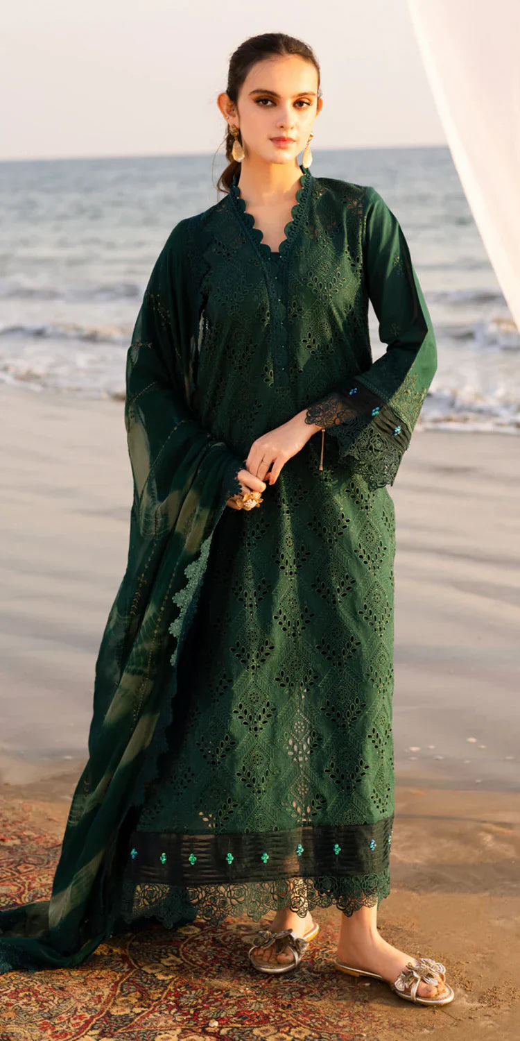 TL-432 riaz arts