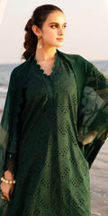 TL-432 riaz arts