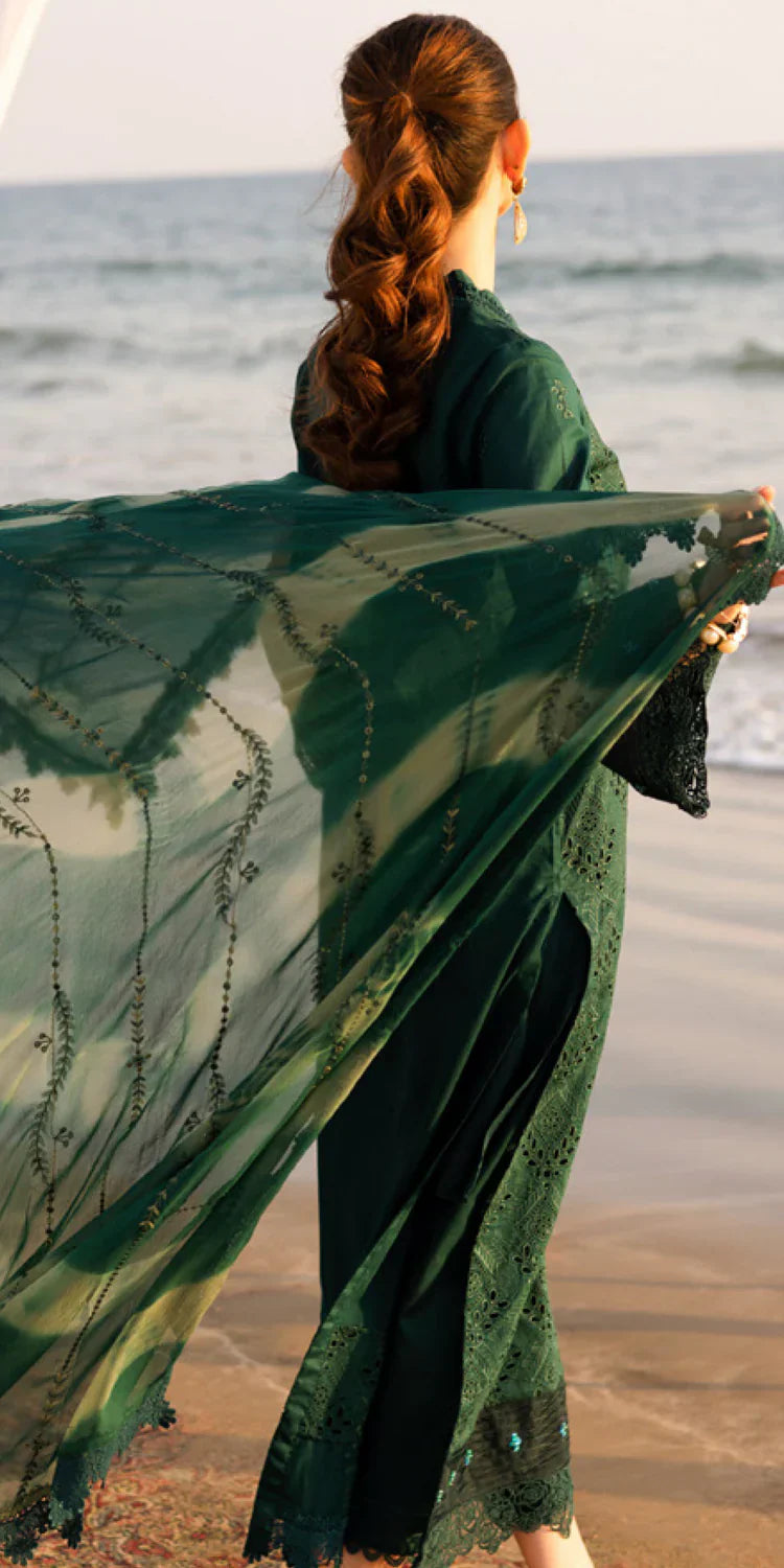 TL-432 riaz arts