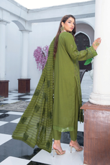 GULZAR A PRODUCT OF RIAZ ARTS D-06