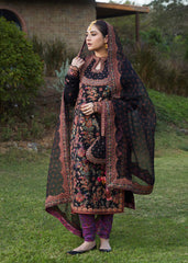 Siyaan hussain rehar