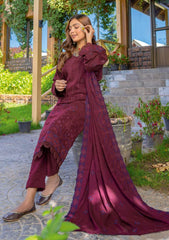 Winter Collection - Bin Rashid - Jahanara - BRJ24#02 binrashid