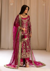 TABEER tehzeeb