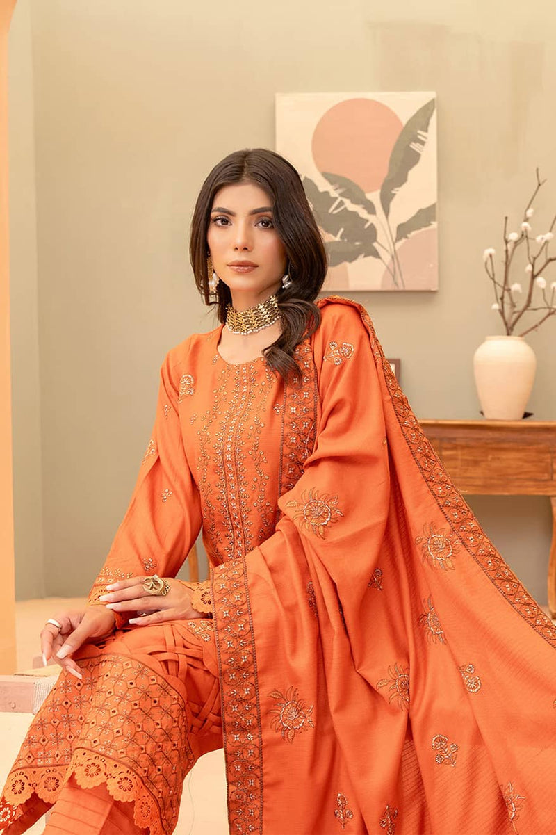 Burnt-Orange 3pc - Dhanak Embroidered Dress ainalif