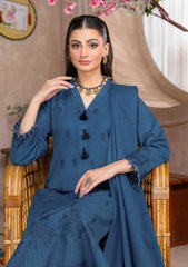 Winter Collection - Bin Rashid - Lok Virsa - BL24#04 bin rashid