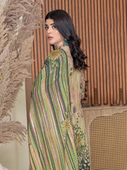 Nihaal Embroidered Lawn Collection 2025 by Riaz Arts (D-09)