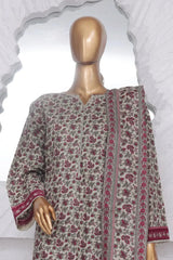 Bin Saeed Stitched 3 Piece Exclusive Printed Lawn Vol-02 Collection-AS-1013-Grey