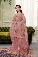 Pink Dress 3 piece - RTW1018 alizeh